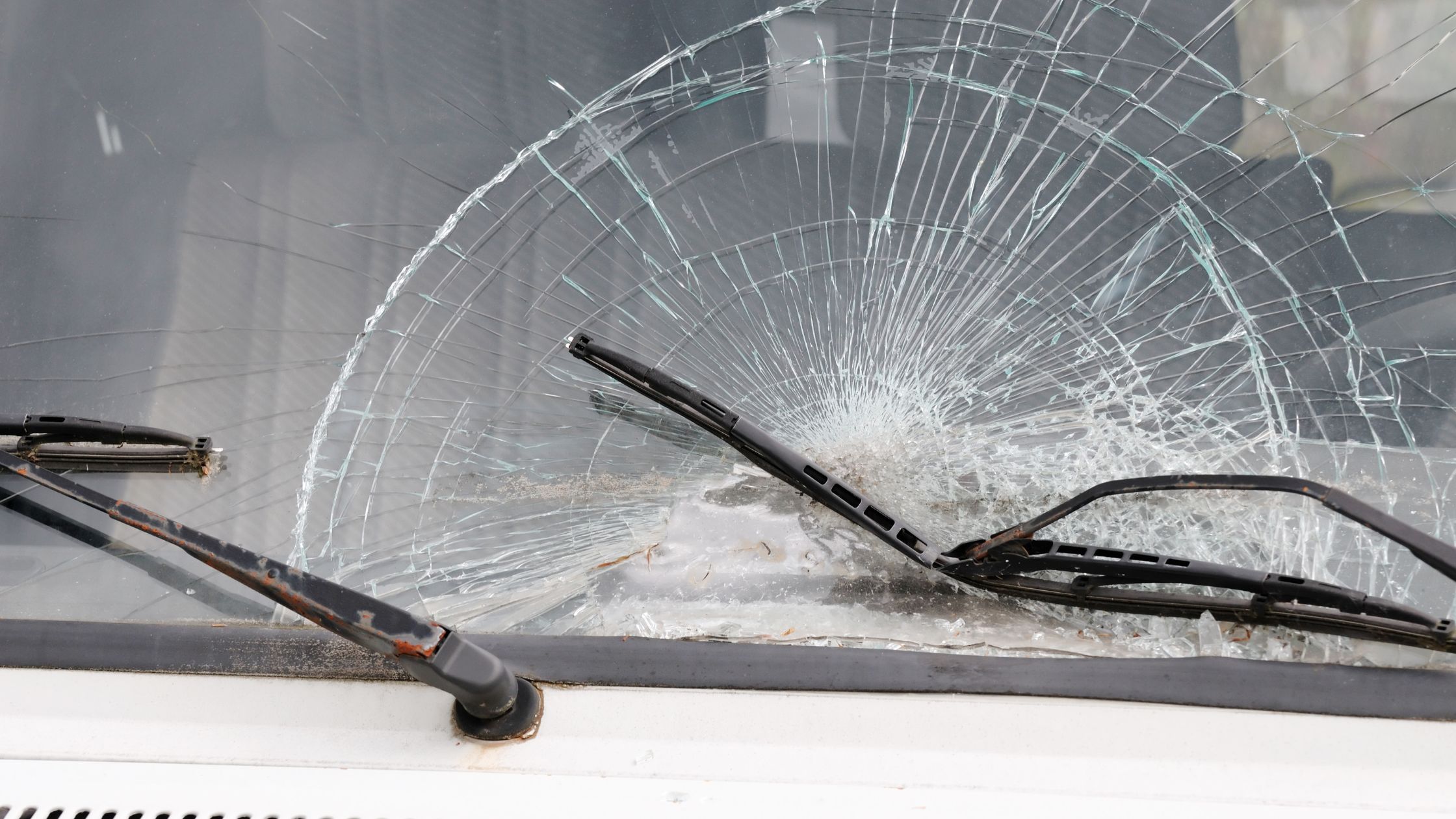 Learn about the different types of windshield damage and how they affect your safety